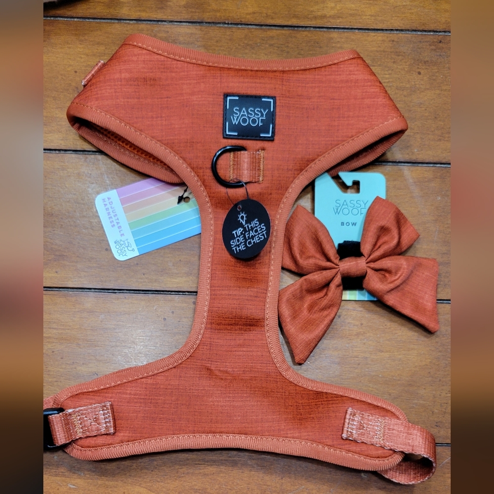 Sassy Woof Rust Orange No-Pull Dog Harness with Bow